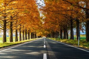 ゆったり快適な移動！米原発、滋賀観光の団体旅行で貸切バスを選ぶべき理由