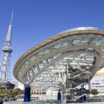 大津駅前or彦根駅前発！滋賀県から行くオススメ団体旅行【東海地方】